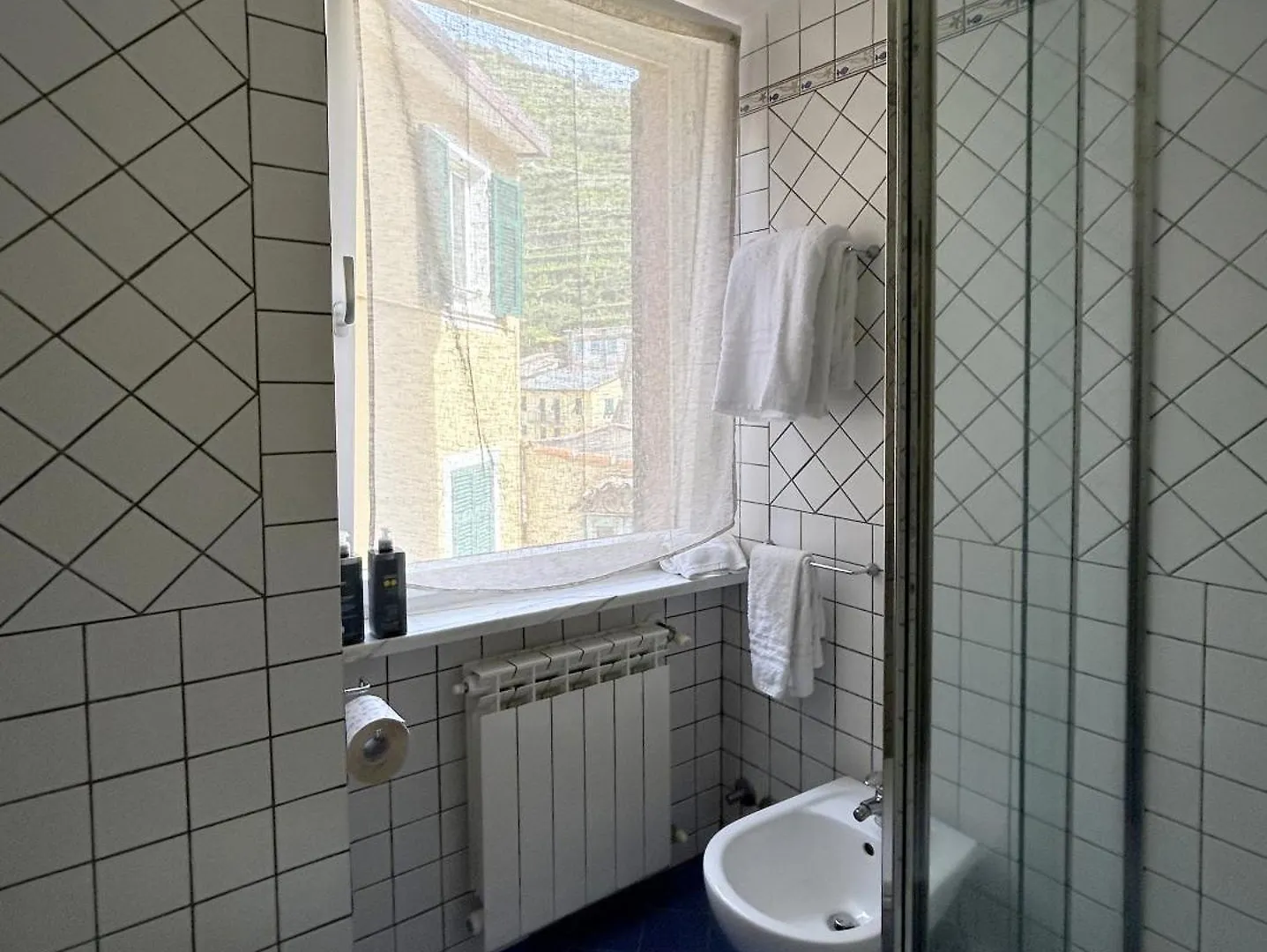 Da Baranin B&B And Apartment Manarola 3*,